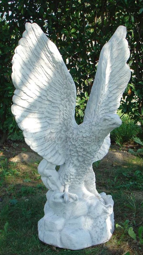 aquila